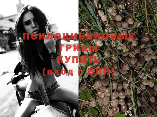 скорость Кукмор