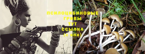 альфа пвп Беломорск