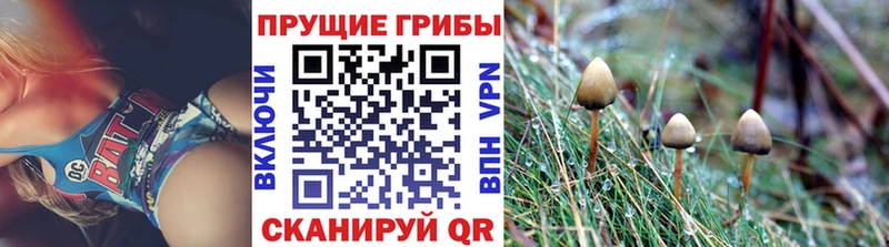 Купить закладки  Краснотурьинск  Галлюциногенные грибы мицелий 